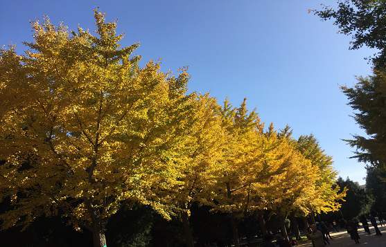 北京公司注冊需要找哪些專業(yè)機構(gòu)幫助？